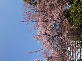 類の日記〜萬天堂女風セラピスト〜