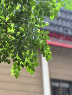 何か楽しいことがありそうな日曜日