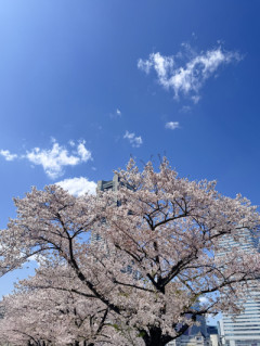 ちょっぴり早起きしてマイブームがあるのです