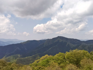 内緒ですが、、