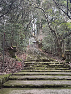 もうしばらく、お休みします