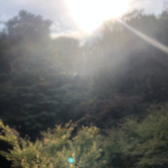 物語は突然に…?