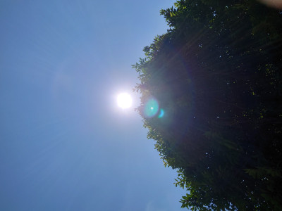 プロフ写真を更新しました?