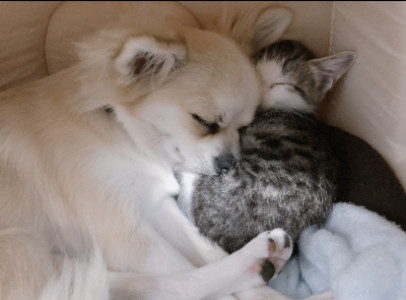 あと少し