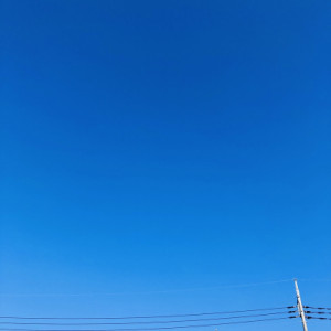 本日も晴天なり