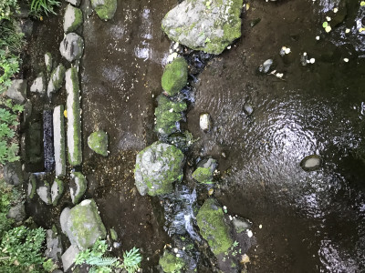 急激的な暑さ対策には