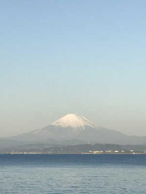 悲しみの先にリラックス空間を・・・
