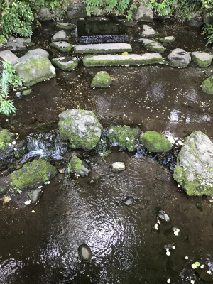 私自身が思うこと