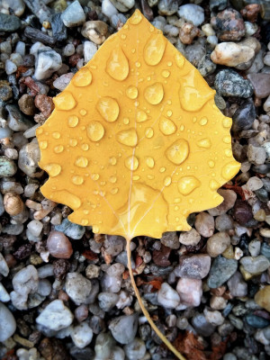 雨垂れ石を穿つ