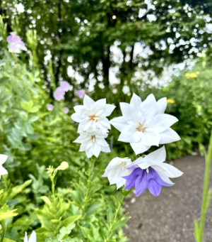 ?福岡出張?
