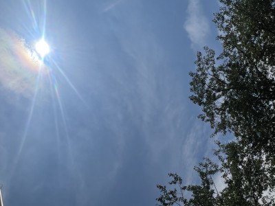 今日も暑いですね