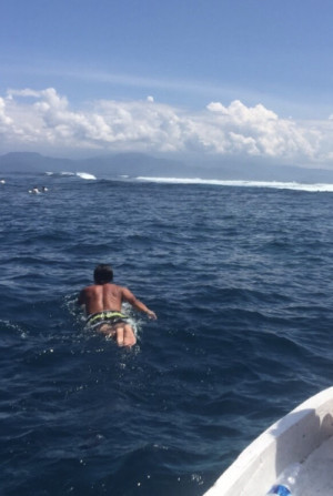 どんな海でも泳ぎます?