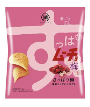 駿の梅味のおすすめお菓子！