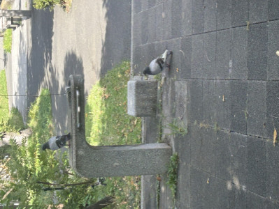 出勤