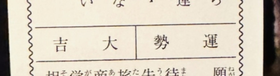 毎日更新
