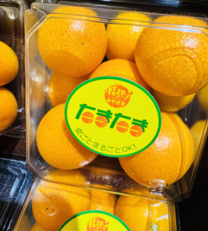 毎日更新