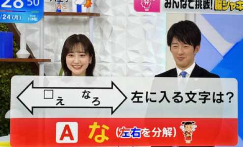 毎日更新