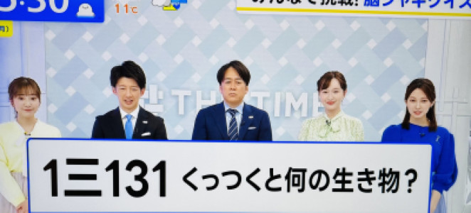 毎日更新