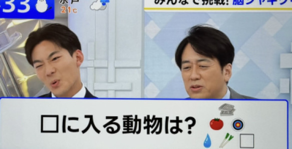 毎日更新