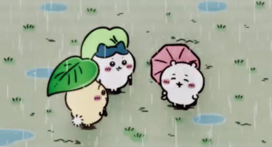 毎日更新