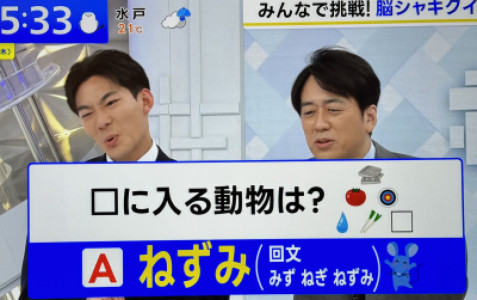毎日更新