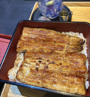 精力?注入  完了??