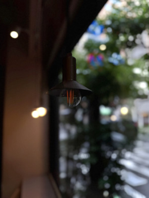 たまには雨も良いけどね