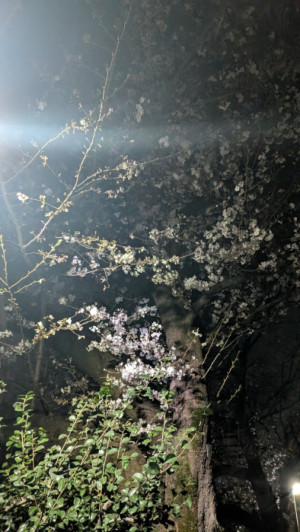 宣材写真撮り直します