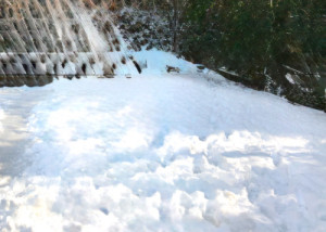 雪の日の救世主
