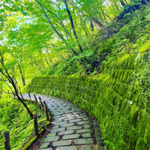 5月にエアコンをつけるのは負けた気になる。