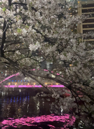 ?萬天堂イベント桜祭り…