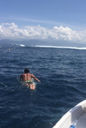 どんな海でも泳ぎます?