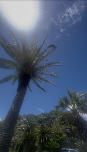 天気いいですね…?