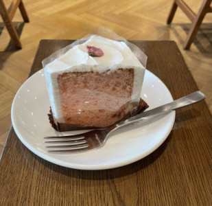 春が好きな理由