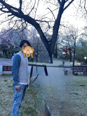 今年最後の花見かな