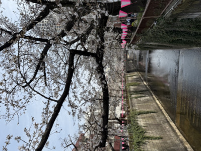 暖かくなってきましたね