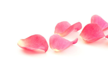 雨と薔薇と、星の指先