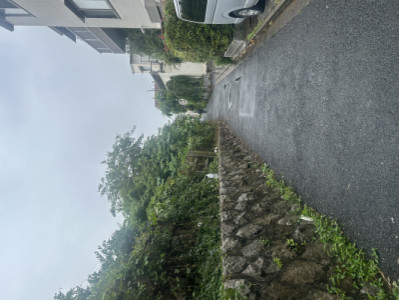 ??雨