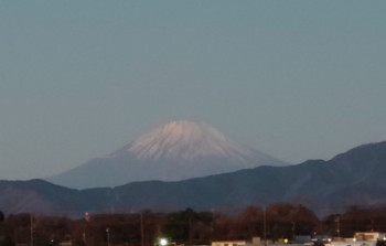 一日に遅れの