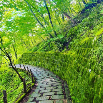 5月にエアコンをつけるのは負けた気になる。