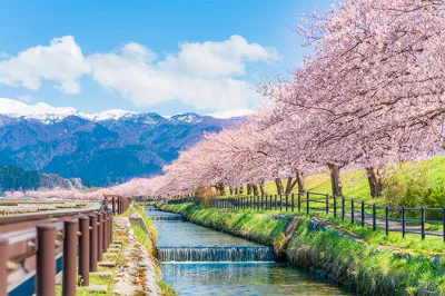 2月15日（春一番名付けの日）