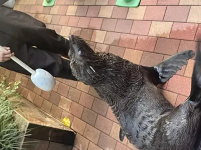 水族館に行きました！?