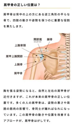 肩こり