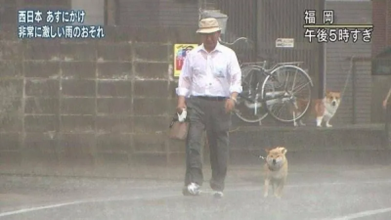 台風でした?