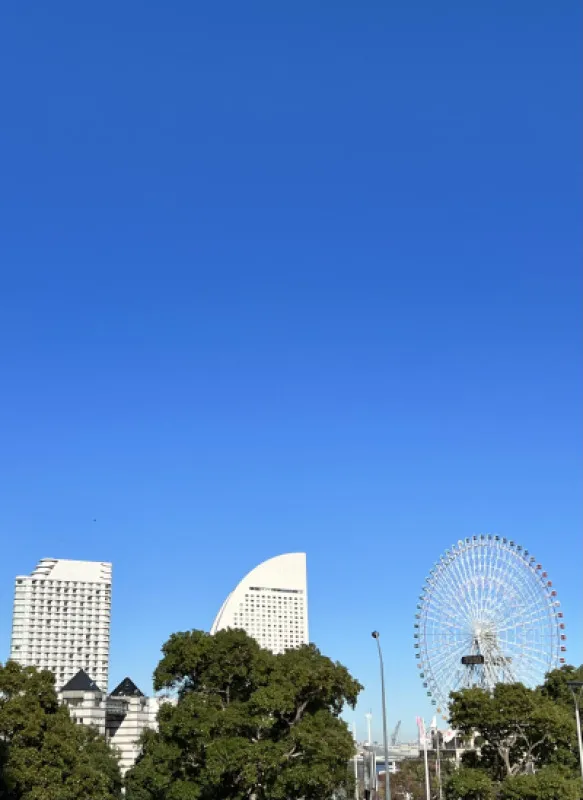 観覧車を目の前にして乾杯