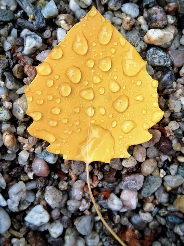 雨垂れ石を穿つ