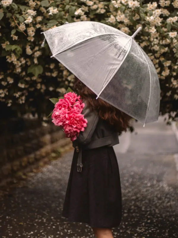 雨が降る日は・・・