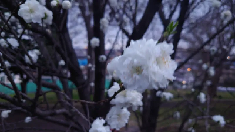 寒かったり、暑かったり