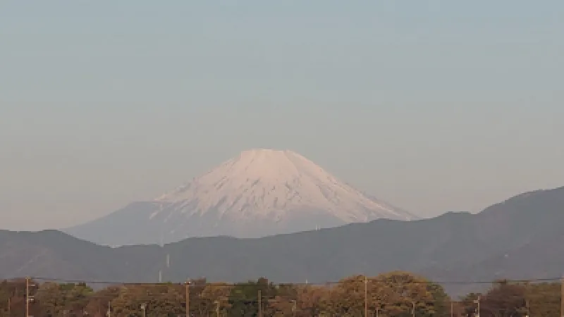 やっと逢えたね