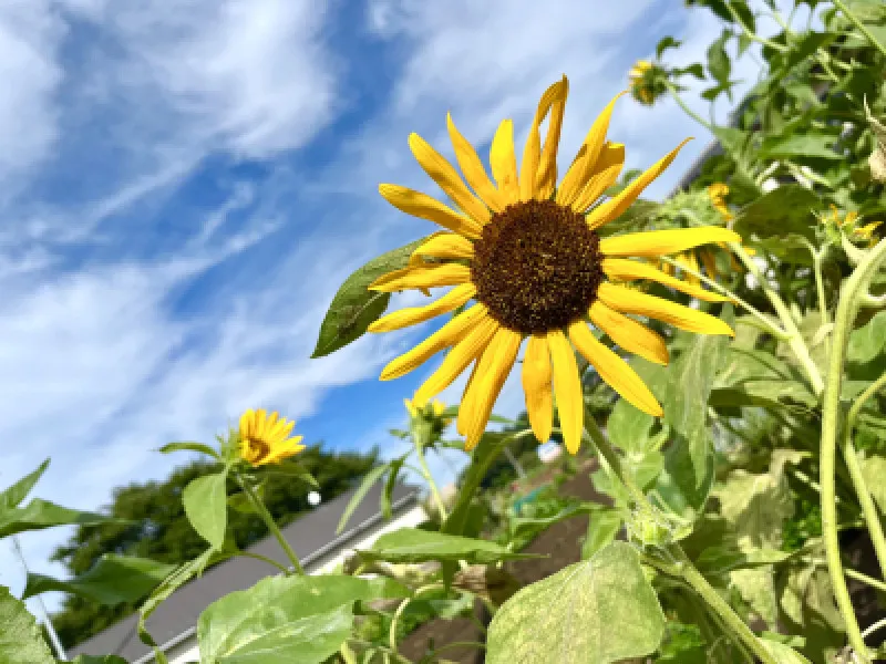 8月6日☆